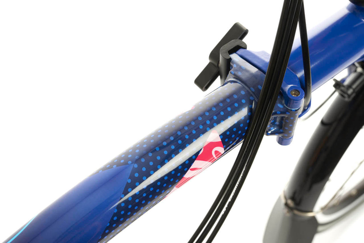 Vélo pliant Brompton paris edition p line